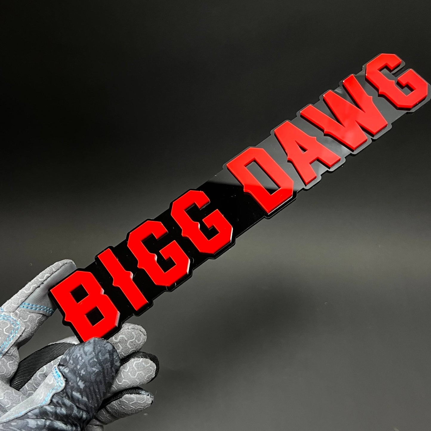 1PC BIGG DAWG 3D Acrylic Badge - Car Truck Emblem Fender Tailgate Trunk Sticker