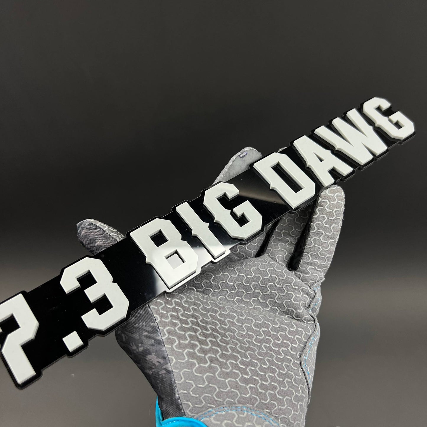1PC 7.3 BIG DAWG 3D Acrylic Badge - Car Truck Emblem Fender Sticker