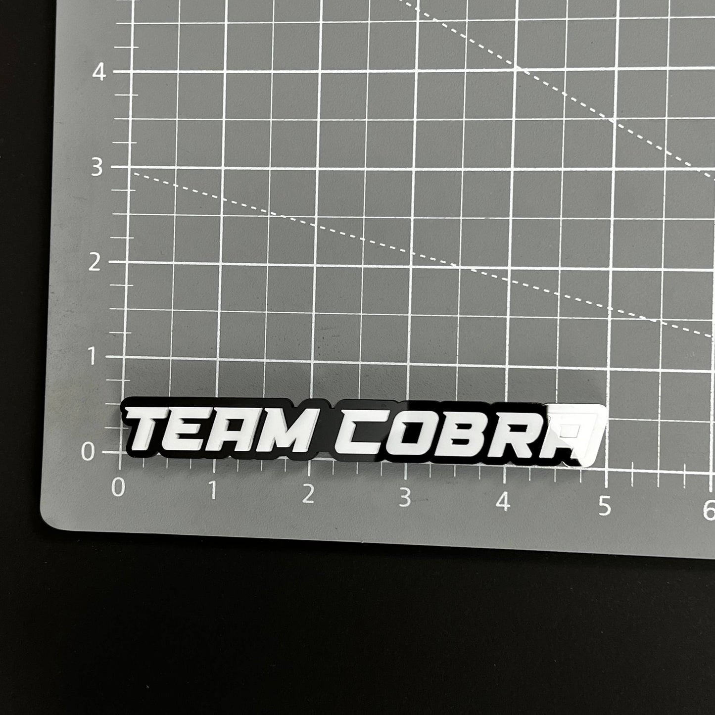 1PC TEAM COBRA 3D Acrylic Badge - Car Truck Emblem Fender Tailgate Trunk Sticker