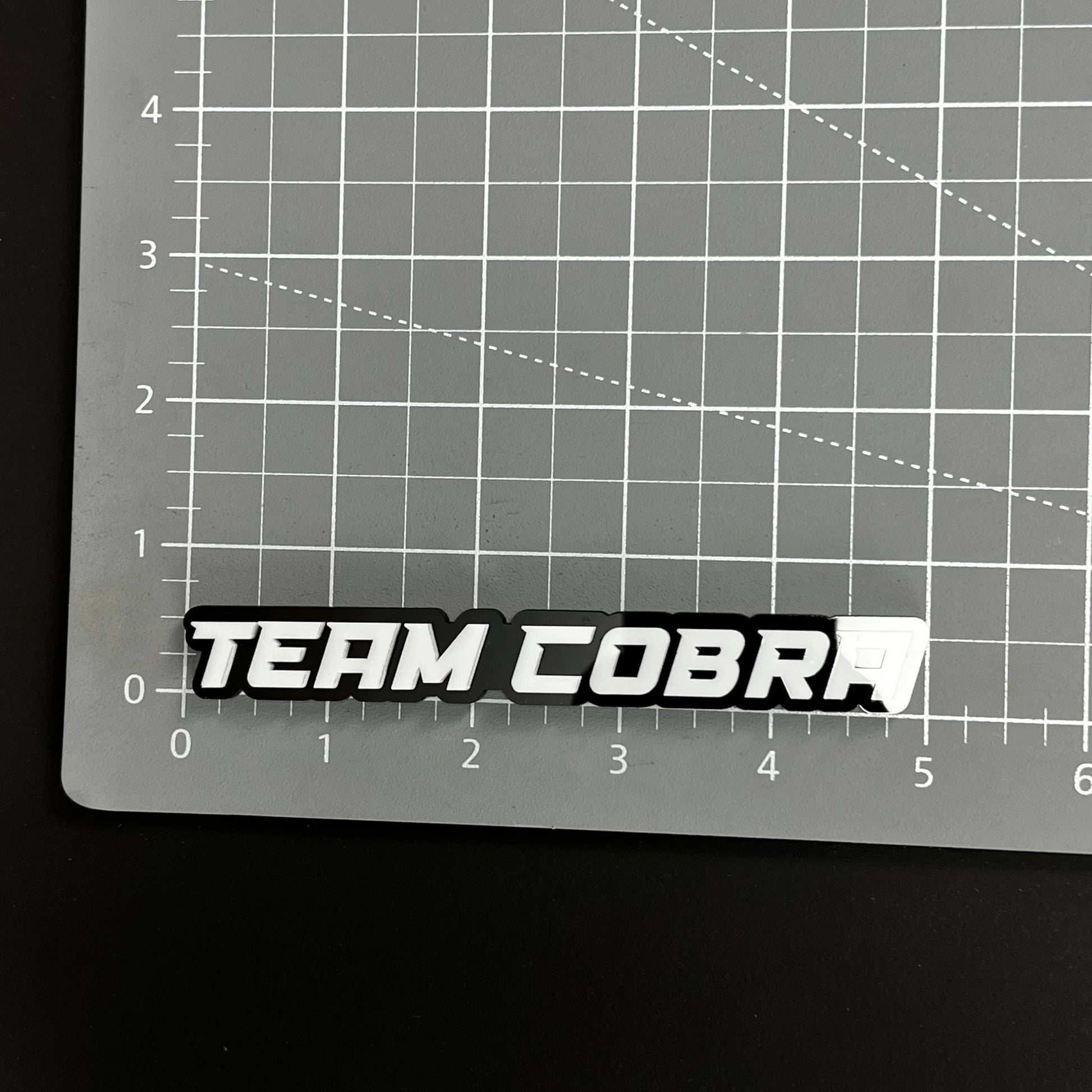 1PC TEAM COBRA 3D Acrylic Badge - Car Truck Emblem Fender Tailgate Trunk Sticker