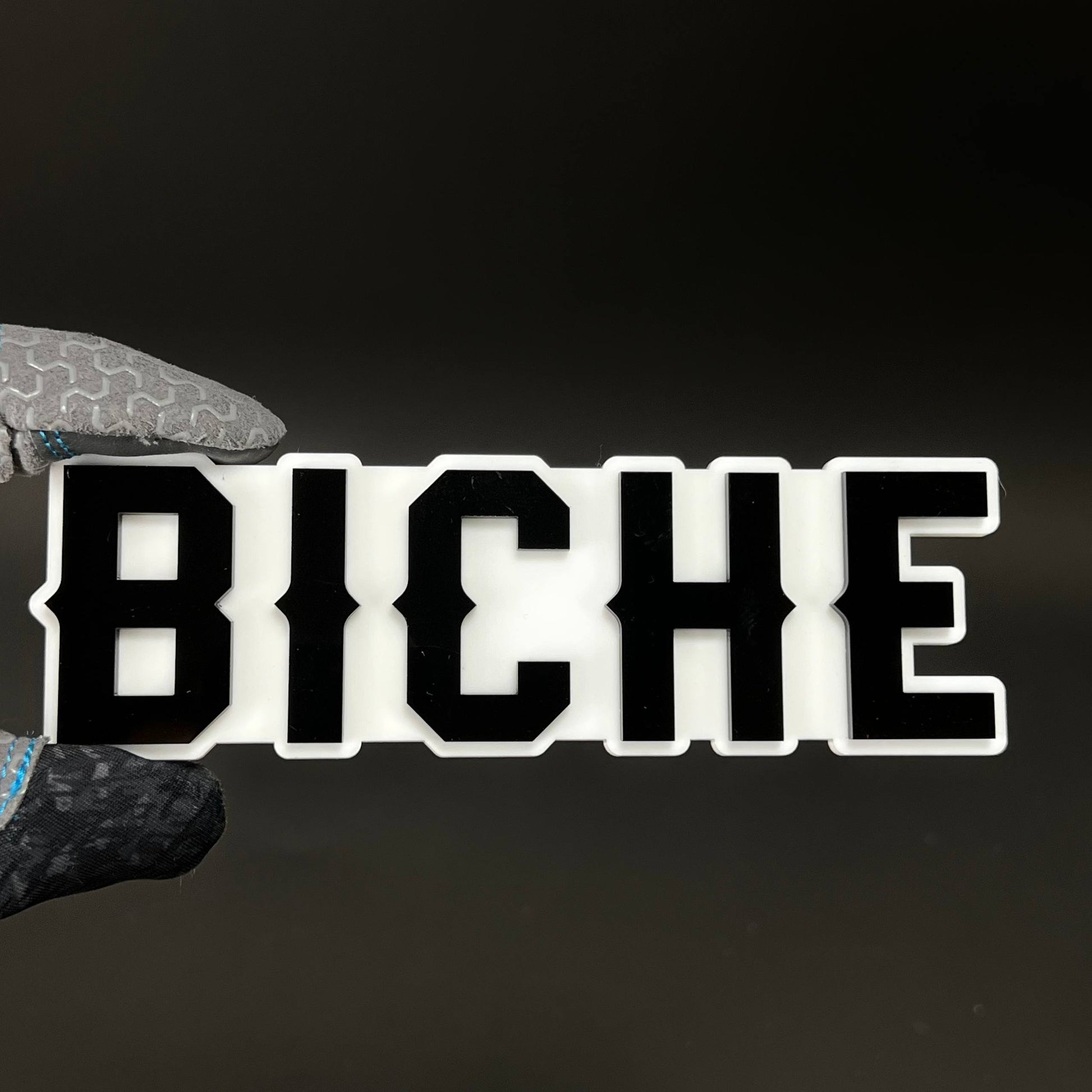 1PC BICHE 3D Acrylic Badge - Car Truck Emblem Fender Tailgate Trunk Sticker