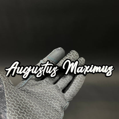 1PC Augustus Maximus 3D Acrylic Badge - Car Truck Emblem Fender Sticker