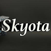 1PC Skyota 3D Acrylic Badge - Car Truck Emblem Fender Tailgate Trunk Sticker