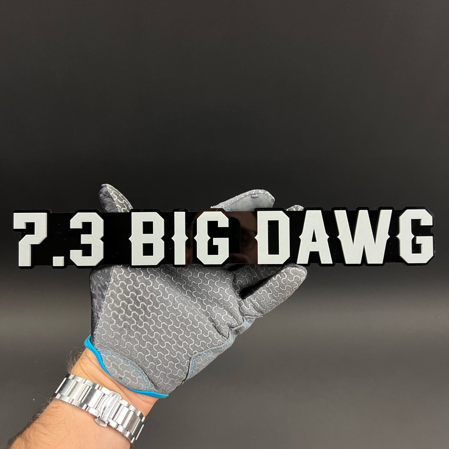 1PC 7.3 BIG DAWG 3D Acrylic Badge - Car Truck Emblem Fender Sticker