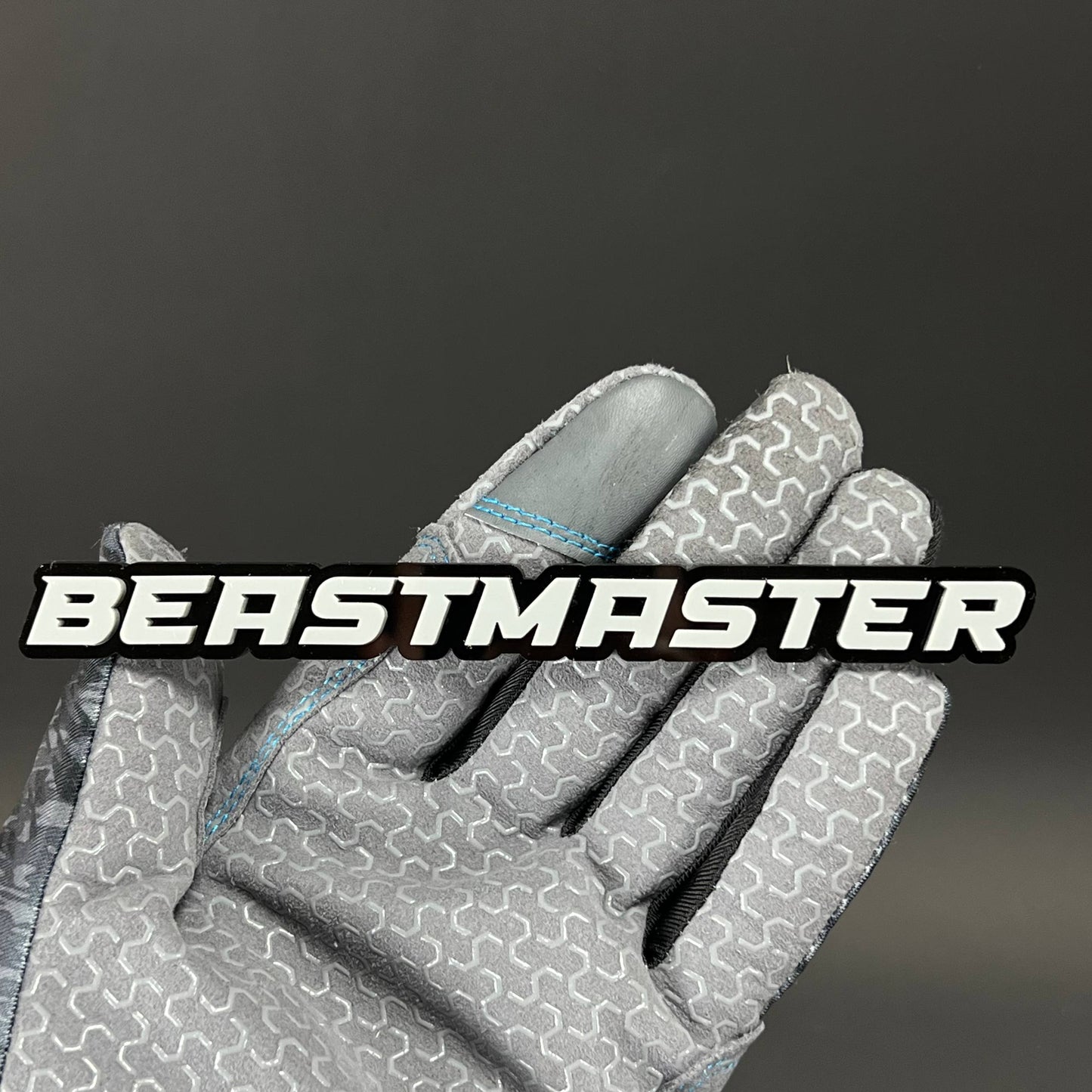 1PC BEASTMASTER 3D Acrylic Badge - Car Truck Emblem Fender Sticker