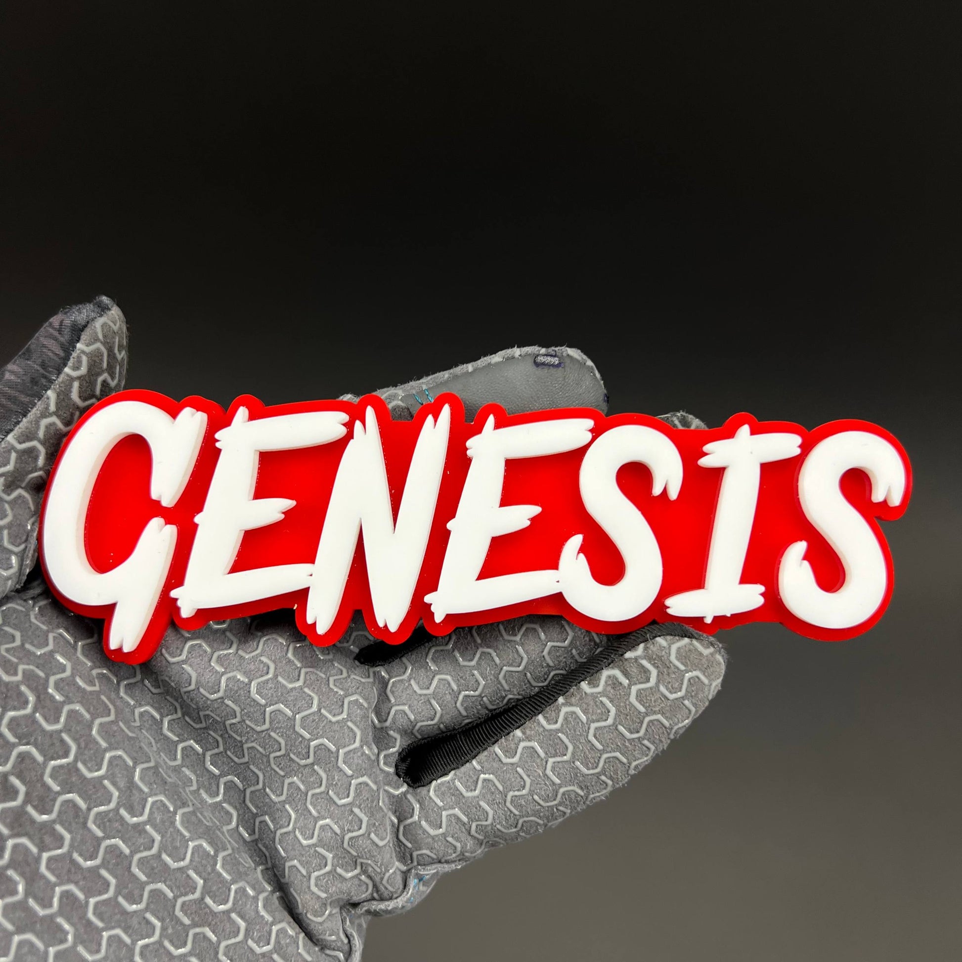1PC GENESIS 3D Acrylic Badge - Car Truck Emblem Fender Tailgate Trunk Sticker