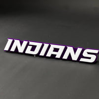 1PC INDIANS 3D Acrylic Badge - Car Truck Emblem Fender Tailgate Trunk Sticker