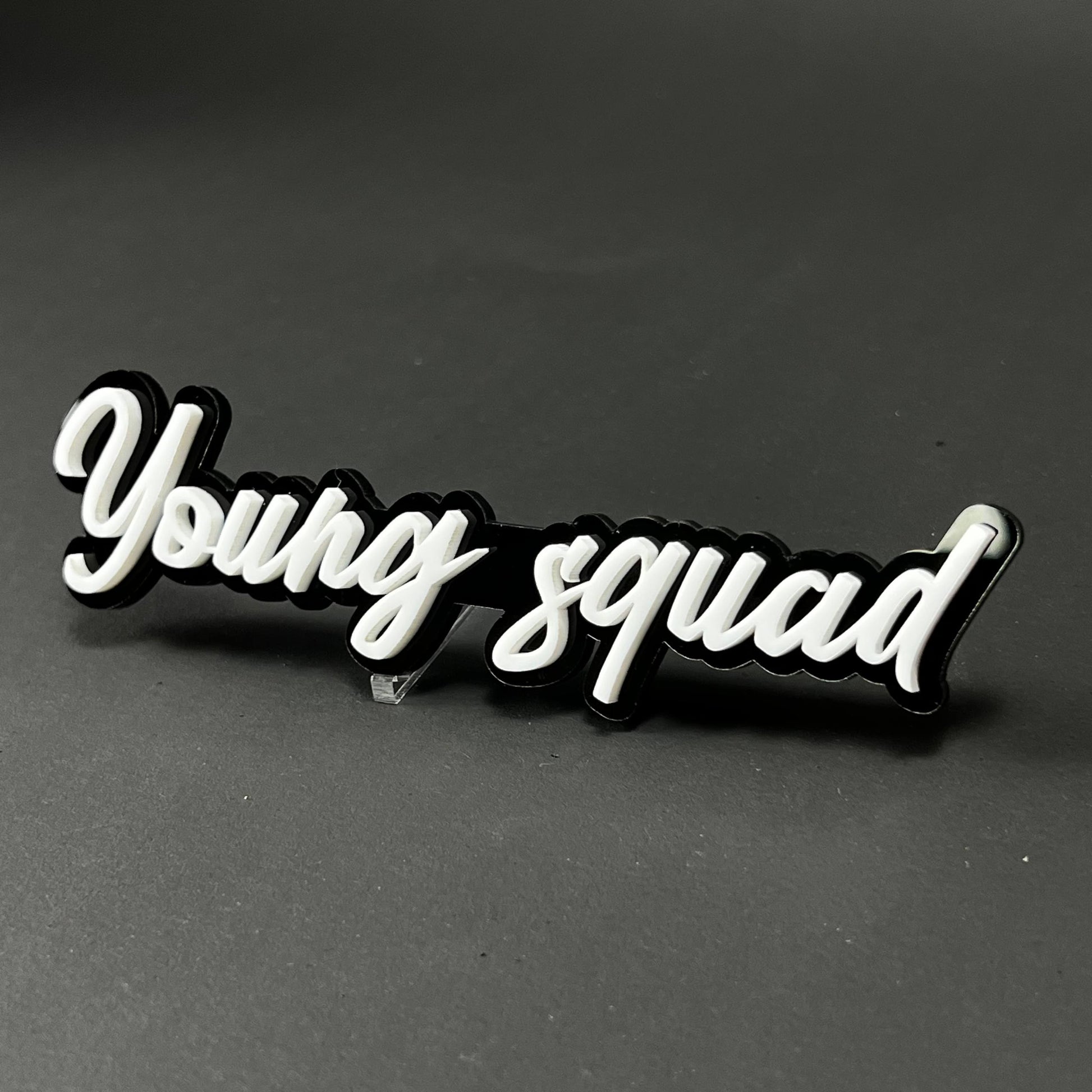 1PC Young squad 3D Acrylic Badge - Car Truck Emblem Fender Sticker