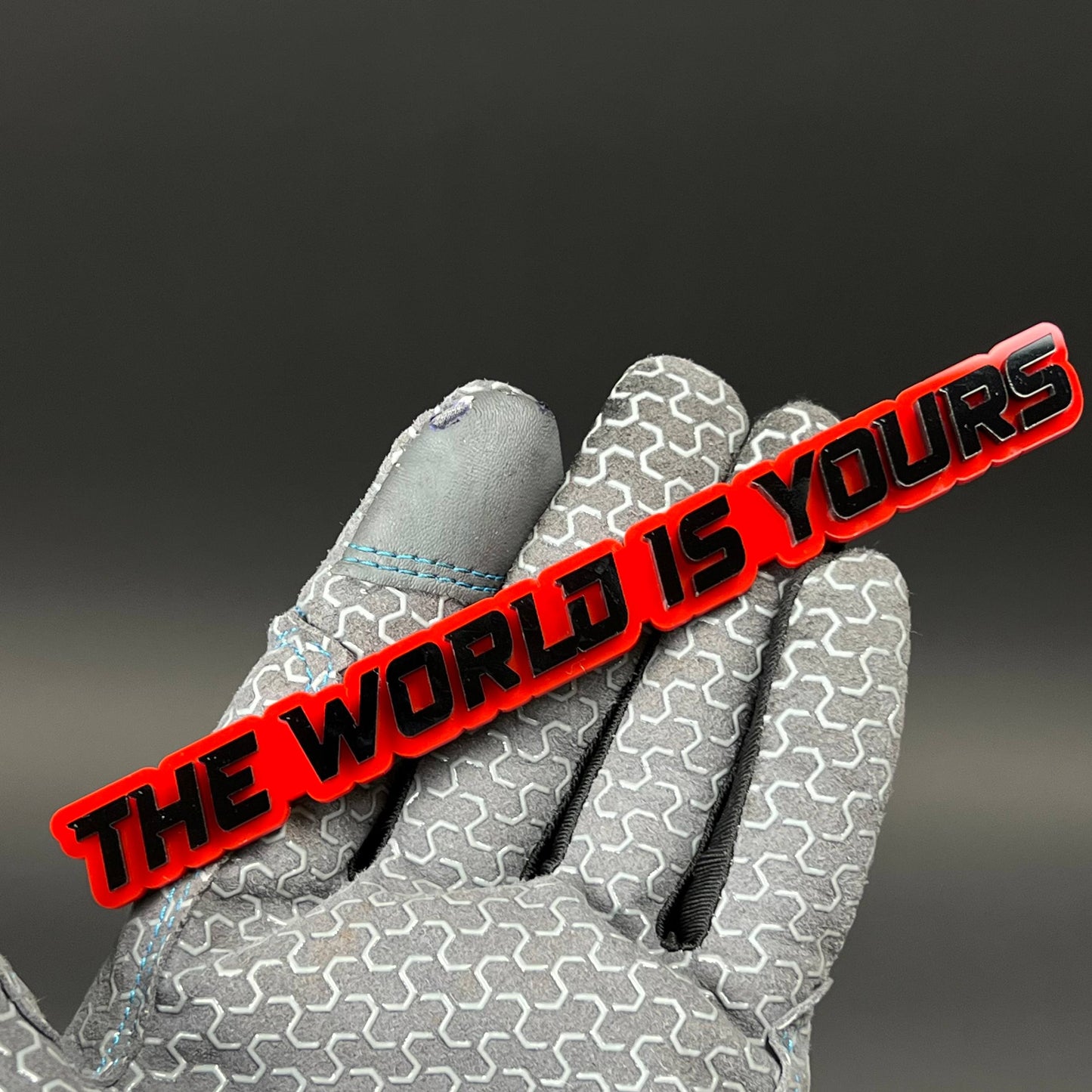 1PC THE WORLD IS YOURS 3D Acrylic Badge - Car Truck Emblem Fender Sticker