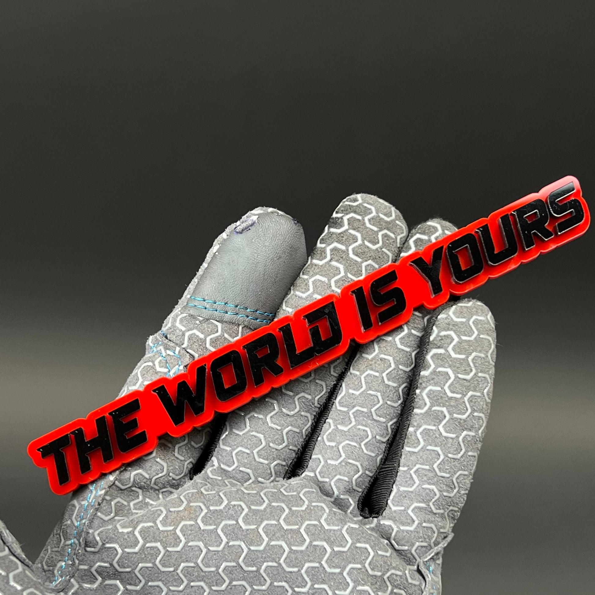 1PC THE WORLD IS YOURS 3D Acrylic Badge - Car Truck Emblem Fender Sticker