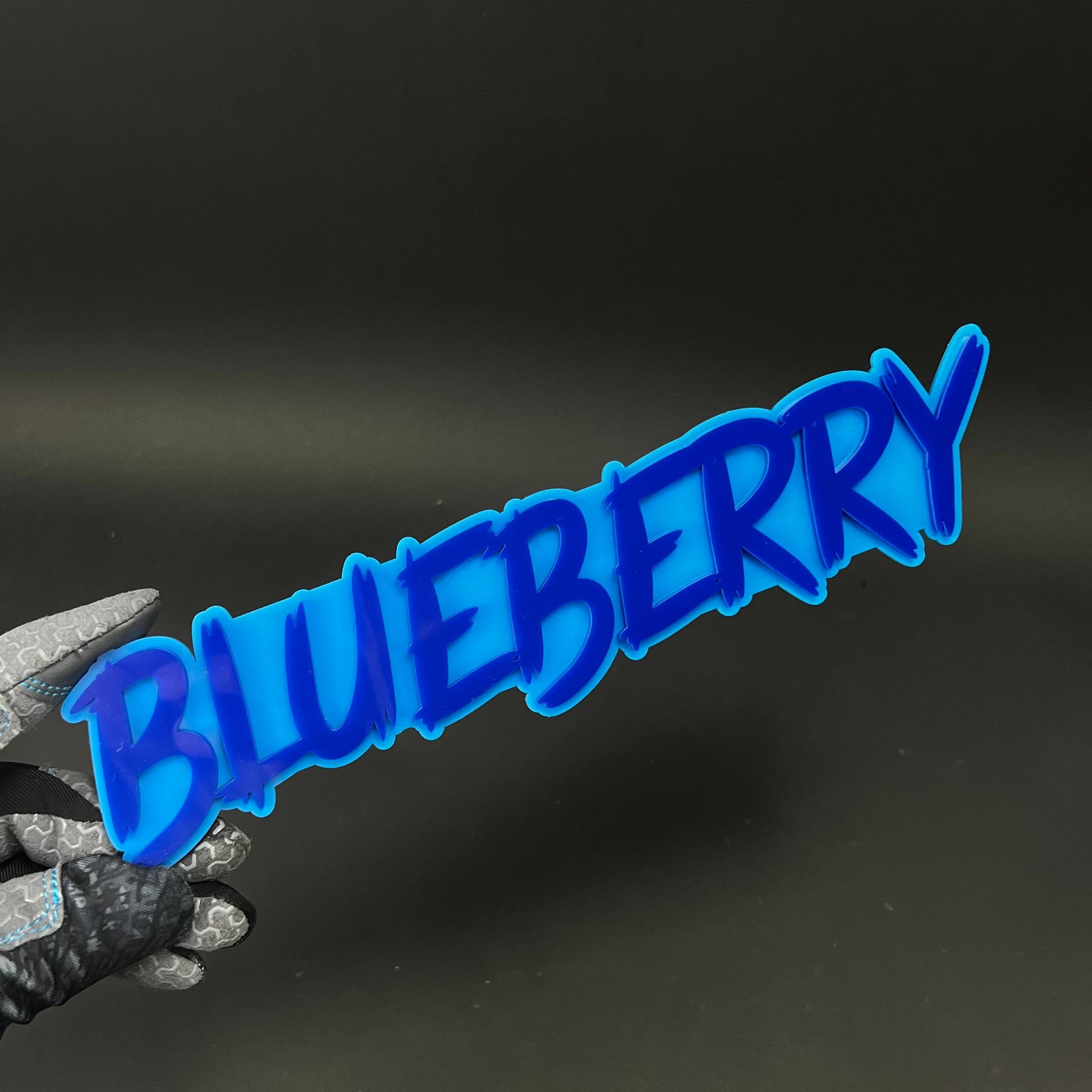 1PC BLUEBERRY 3D Acrylic Badge - Car Truck Emblem Fender Tailgate Trunk Sticker