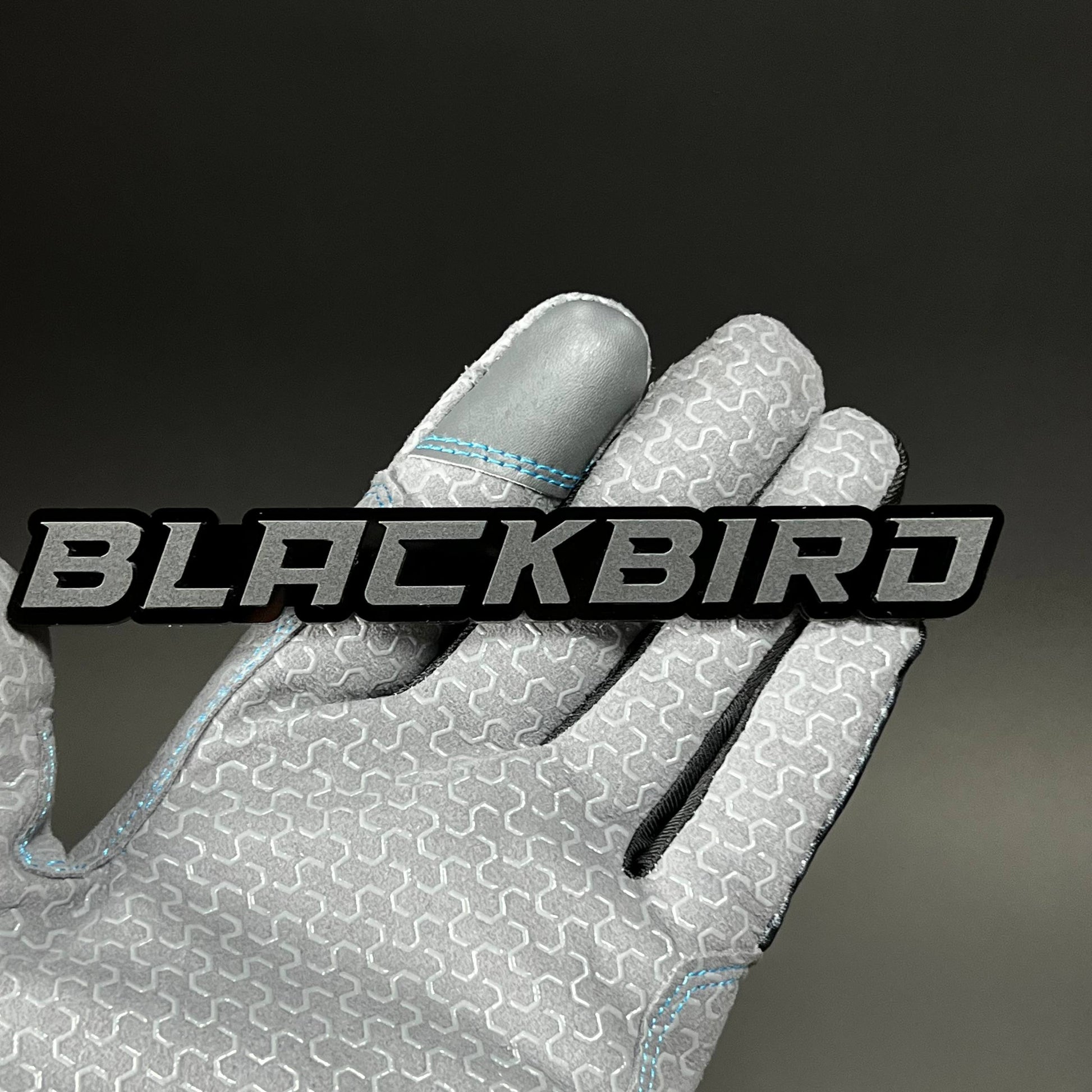 1PC BLACKBIRD 3D Acrylic Badge - Car Truck Emblem Fender Tailgate Trunk Sticker