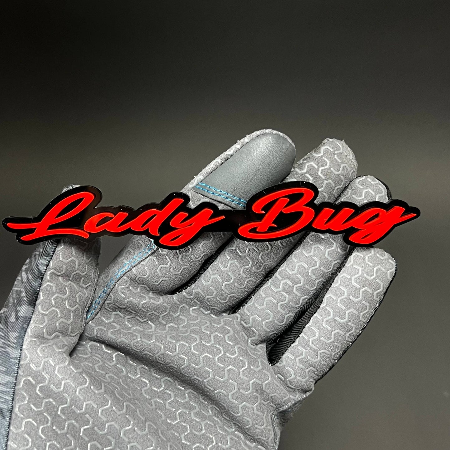 1PC Lady Bug 3D Acrylic Badge - Car Truck Emblem Fender Tailgate Trunk Sticker
