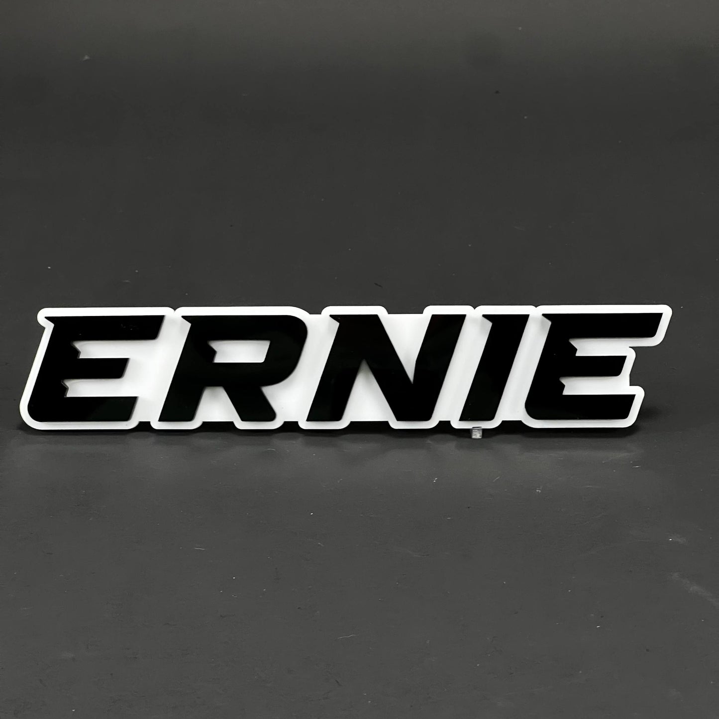 1PC ERNIE 3D Acrylic Badge - Car Truck Emblem Fender Tailgate Trunk Sticker