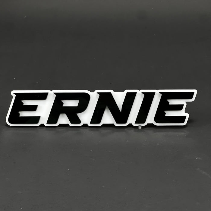 1PC ERNIE 3D Acrylic Badge - Car Truck Emblem Fender Tailgate Trunk Sticker