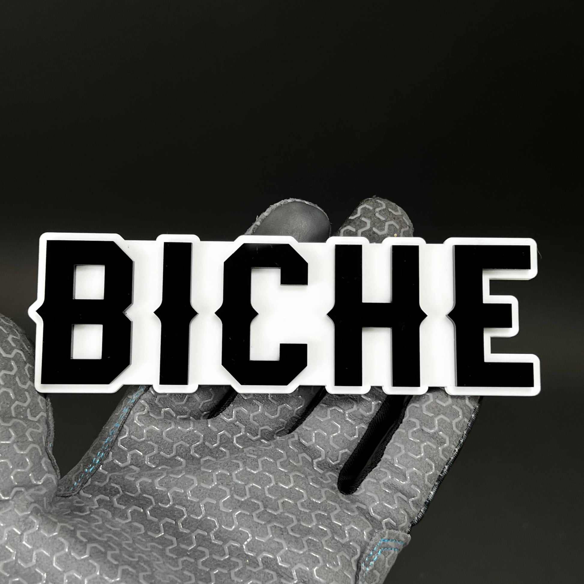 1PC BICHE 3D Acrylic Badge - Car Truck Emblem Fender Tailgate Trunk Sticker