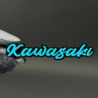 1PC Kawasaki 3D Acrylic Badge - Car Truck Emblem Fender Tailgate Trunk Sticker