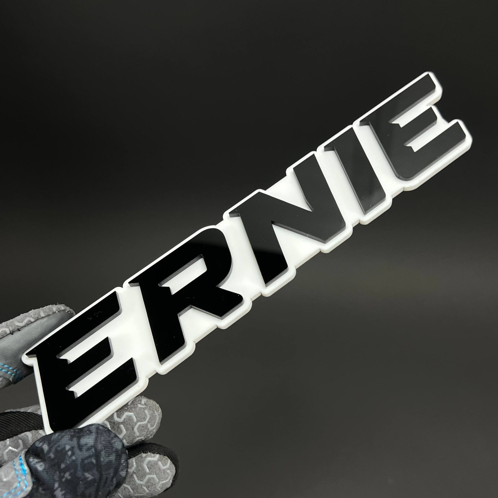 1PC ERNIE 3D Acrylic Badge - Car Truck Emblem Fender Tailgate Trunk Sticker