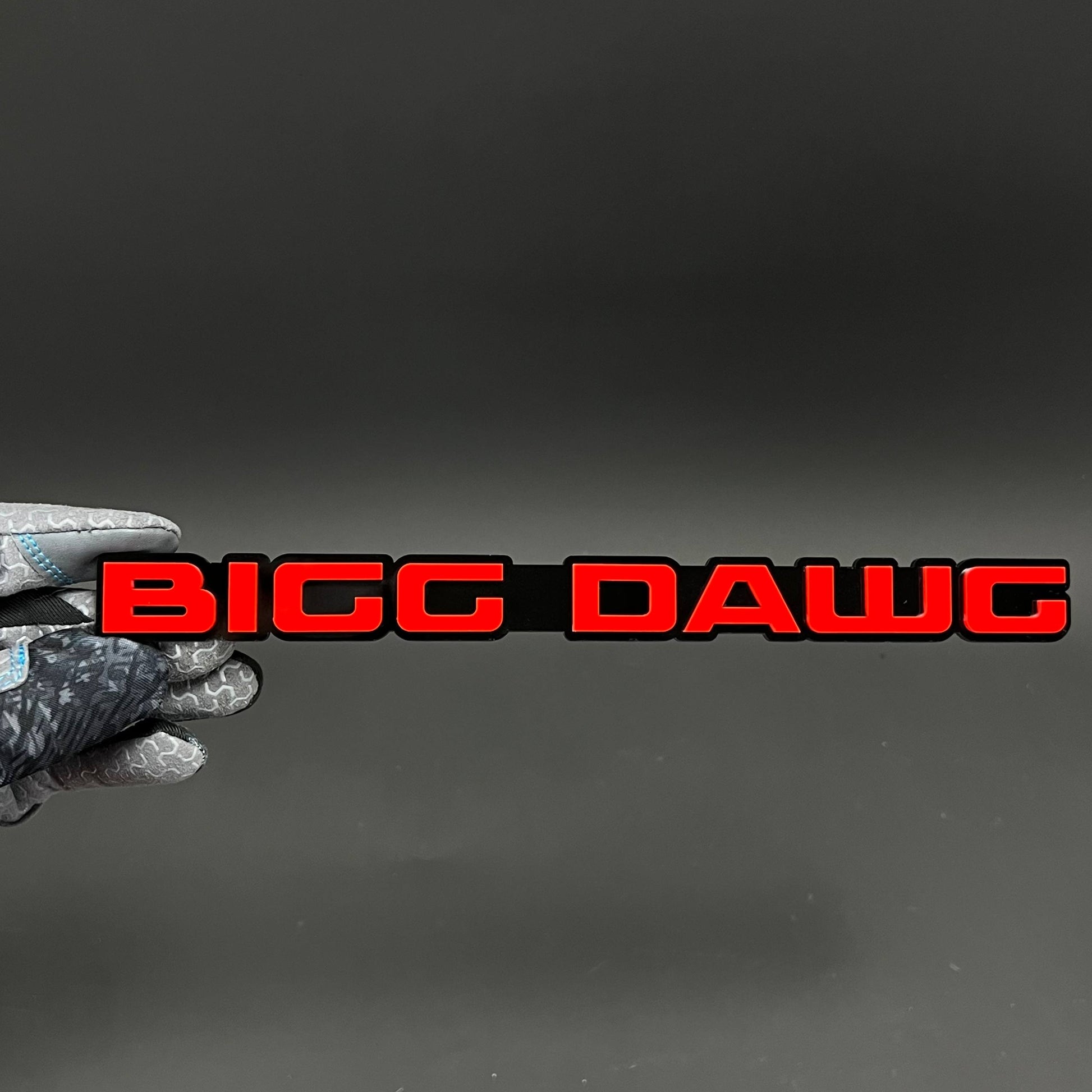 1PC BIGG DAWG 3D Acrylic Badge - Car Truck Emblem Fender Tailgate Trunk Sticker