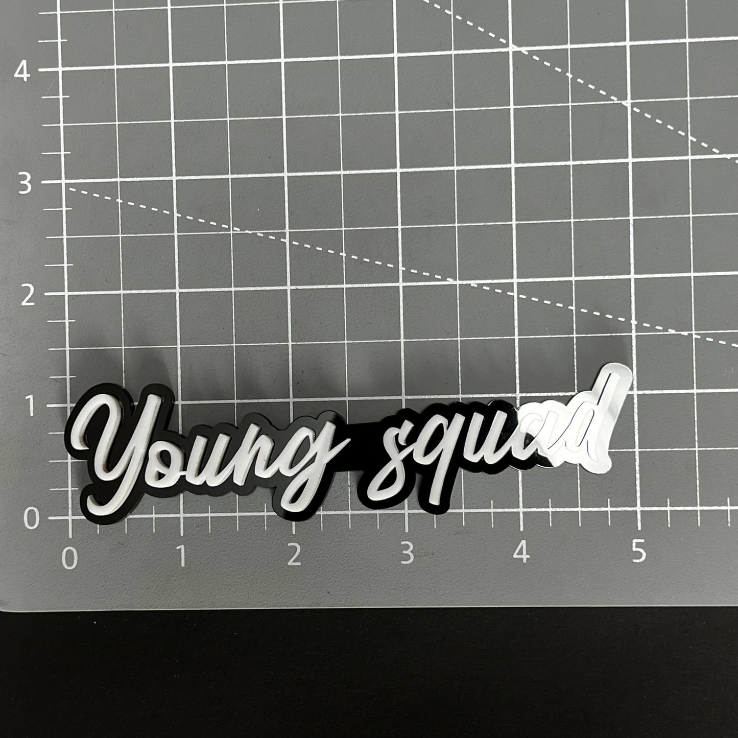 1PC Young squad 3D Acrylic Badge - Car Truck Emblem Fender Sticker