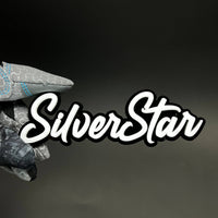 1PC SilverStar 3D Acrylic Badge - Car Truck Emblem Fender Tailgate Trunk Sticker