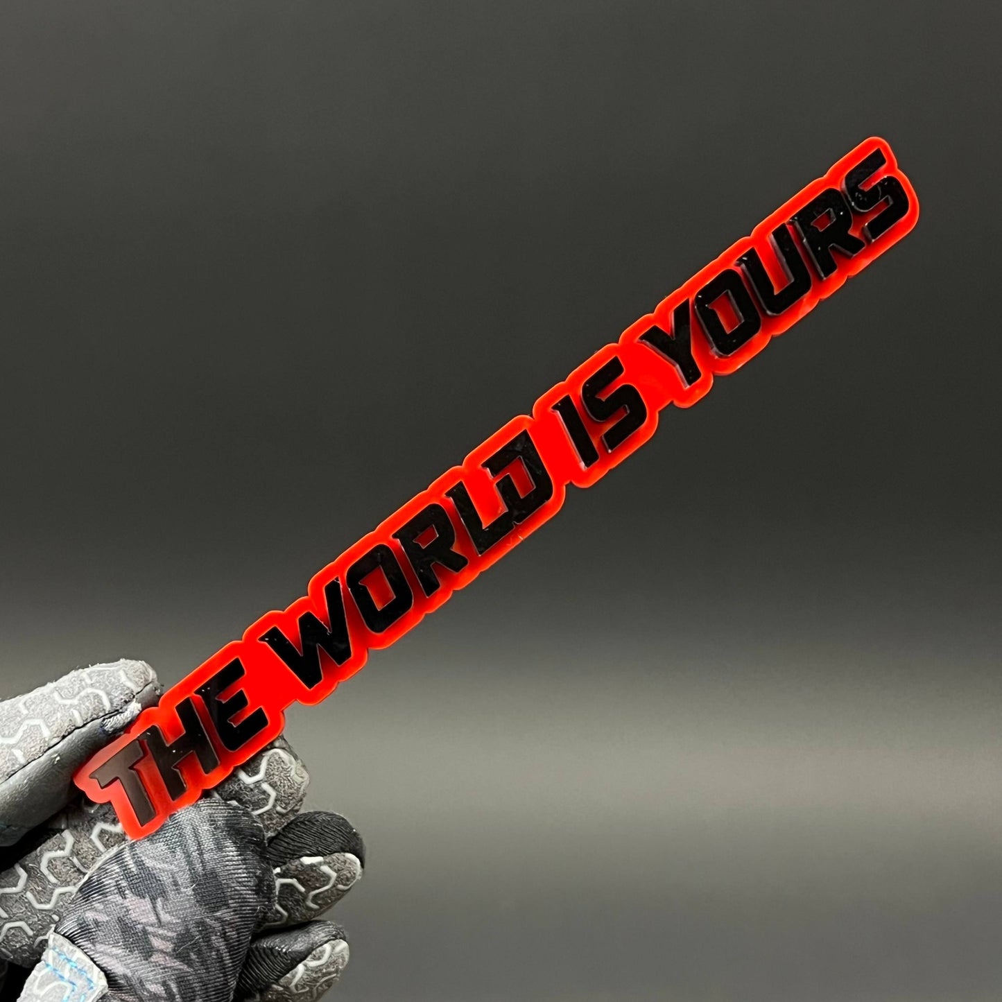 1PC THE WORLD IS YOURS 3D Acrylic Badge - Car Truck Emblem Fender Sticker