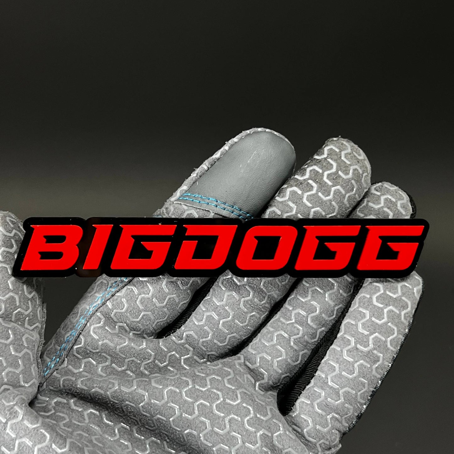 1PC BIGDOGG 3D Acrylic Badge - Car Truck Emblem Fender Tailgate Trunk Sticker