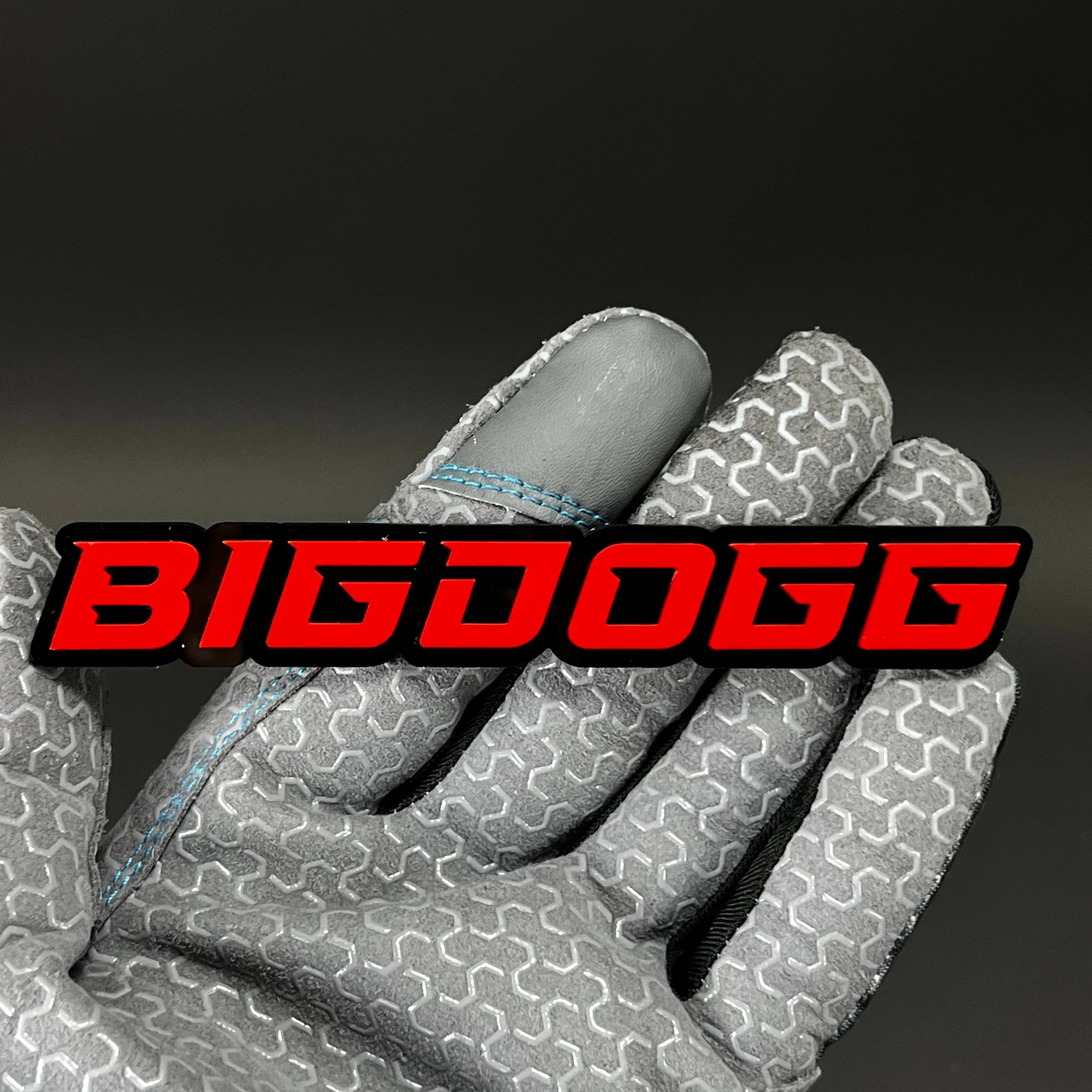 1PC BIGDOGG 3D Acrylic Badge - Car Truck Emblem Fender Tailgate Trunk Sticker