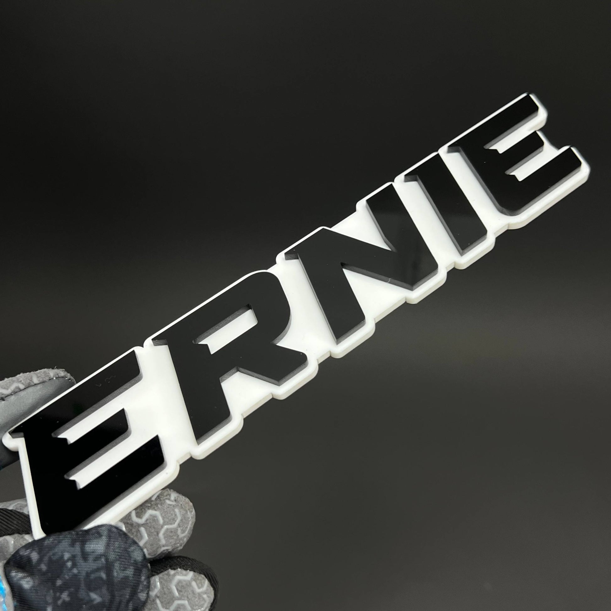 1PC ERNIE 3D Acrylic Badge - Car Truck Emblem Fender Tailgate Trunk Sticker