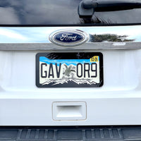 MOUNTAINS COLOR CHOICE LICENSE PLATE FRAME-HIKING-MOUNTAINS-CAMPING