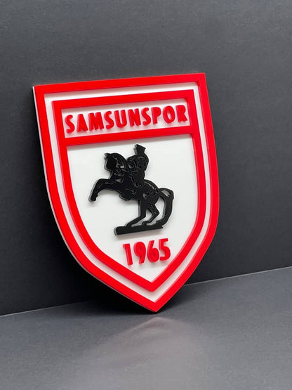 Custom LOGO company Emblem – Acrylic Car Badge w/ Your Text MULTICOLOR
