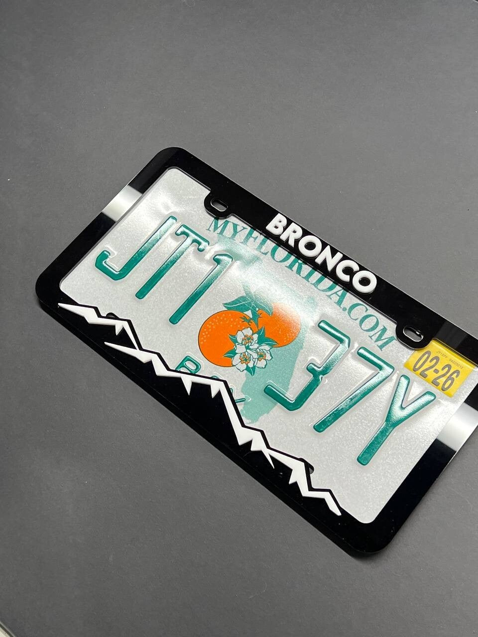 BRONCO Custom LICENSE PLATE FRAME COLOR CHOICE -HIKING-MOUNTAINS-CAMPING