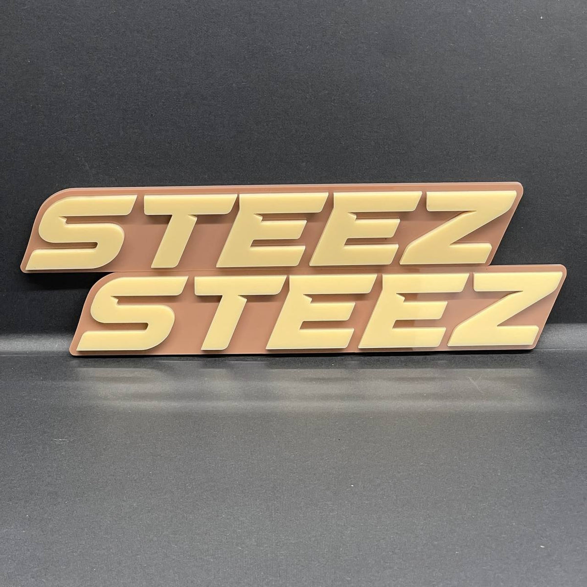 2pcs STEEZ 3D Emblem – Custom Fender or Tailgate Badge for Car, SUV, or Truck