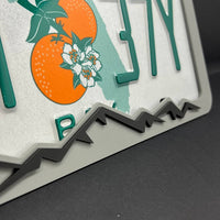THUNDER License Plate Frame Cover – Car Tag Frame for Truck SUV Car