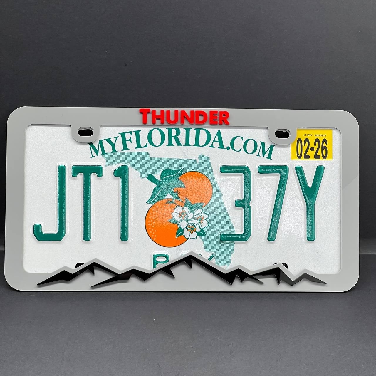 THUNDER License Plate Frame Cover – Car Tag Frame for Truck SUV Car