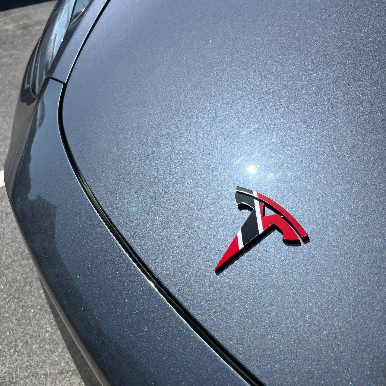 Tesla Multicolor 3D Emblems – Custom Badges (Set of 2)