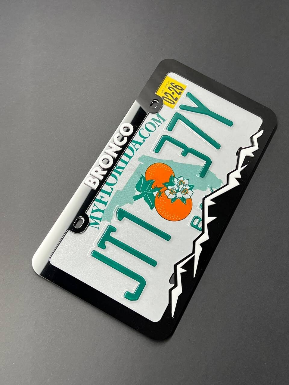 BRONCO Custom LICENSE PLATE FRAME COLOR CHOICE -HIKING-MOUNTAINS-CAMPING