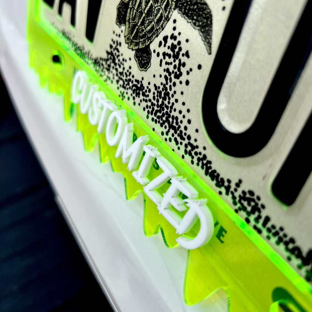 CUSTOM License Plate Frame MULTI COLOR