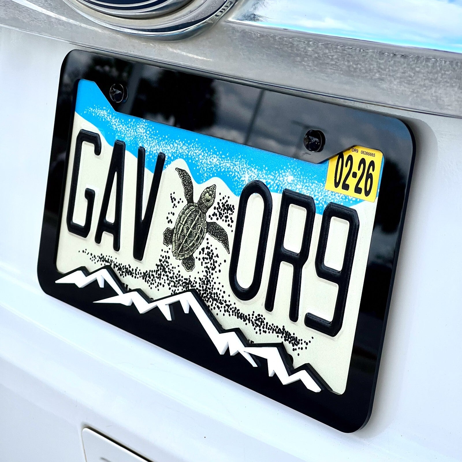 MOUNTAINS COLOR CHOICE LICENSE PLATE FRAME-HIKING-MOUNTAINS-CAMPING