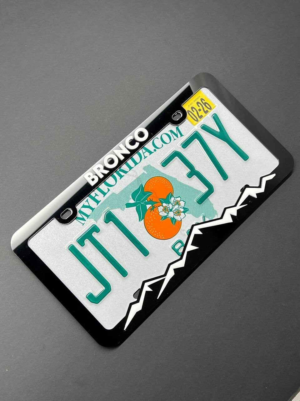 BRONCO Custom LICENSE PLATE FRAME COLOR CHOICE -HIKING-MOUNTAINS-CAMPING