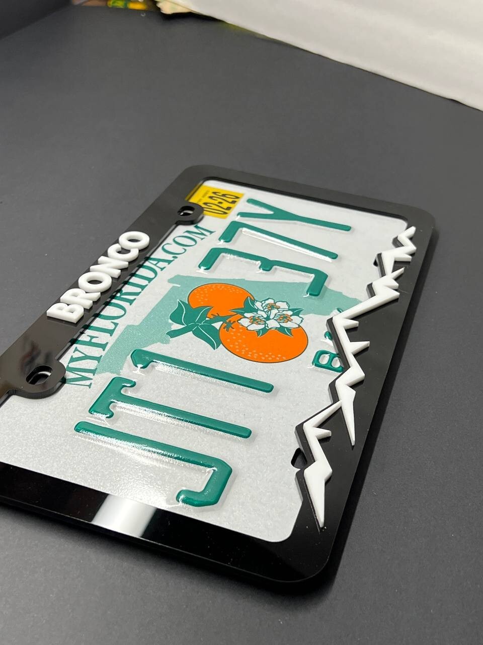 BRONCO Custom LICENSE PLATE FRAME COLOR CHOICE -HIKING-MOUNTAINS-CAMPING
