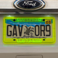 CUSTOM PERSONALIZED License Plate Frame COLOR CHOICE