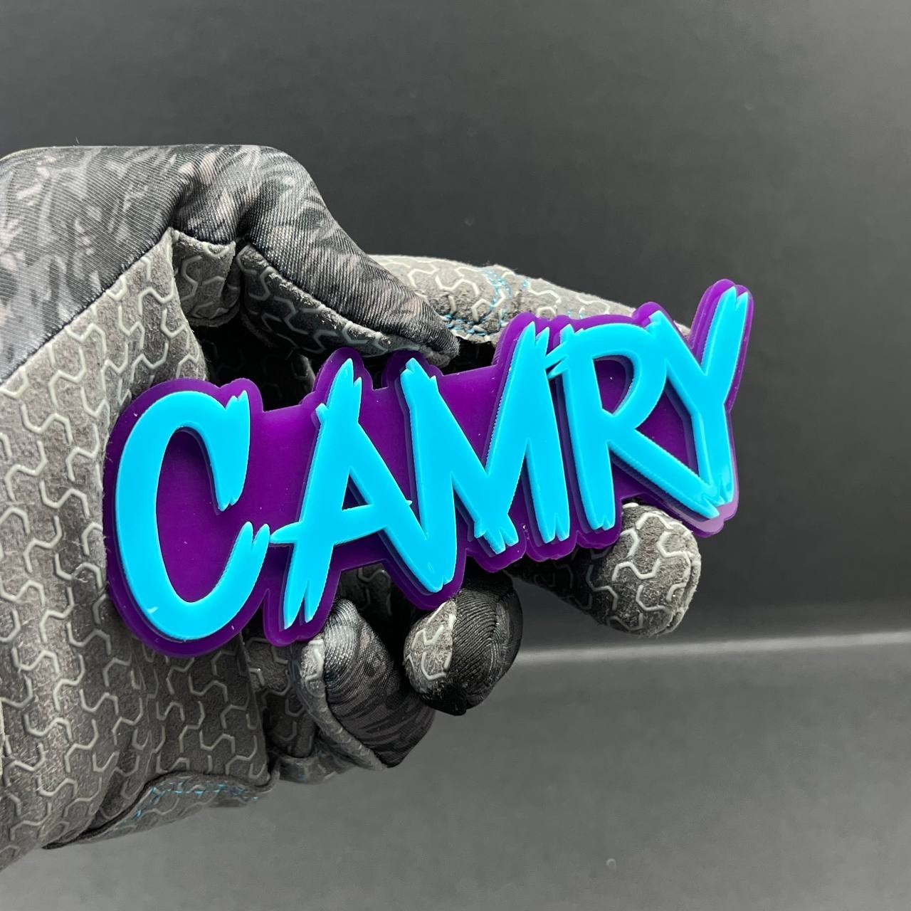 Camry 3D Emblem Badge – Multicolor Acrylic Toyota Car Fender & Trunk Decal (1pc)