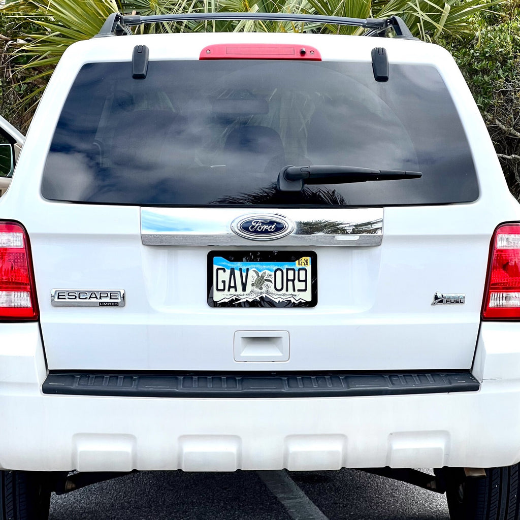 MOUNTAINS COLOR CHOICE LICENSE PLATE FRAME-HIKING-MOUNTAINS-CAMPING