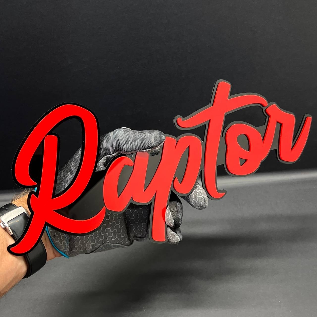 1PC RAPTOR 3D Lettering Emblem – Exterior Badge Decal for Trunk Fender or Door
