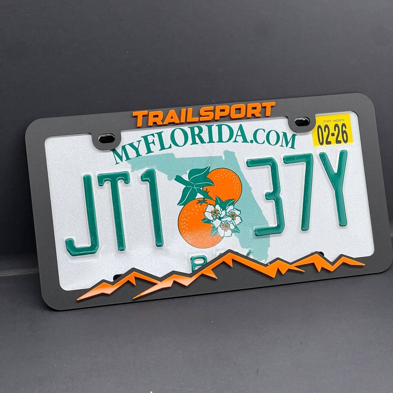 TRAILSPORT License Plate Frame Cover – Black Car Tag Frame for Truck SUV Car