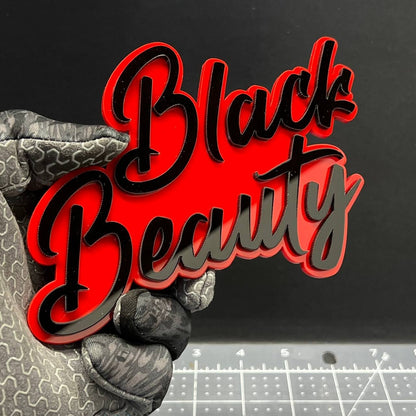 1PC Black Beauty 3D Emblem – Custom Acrylic Car Fender Trunk Badge Decal