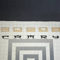 CAMRY Multicolor Emblem Letters – 3D Acrylic Rear Trunk Car Badge Decal 1pc