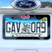 COLOR CHOICE 4x4 License Plate Frame--Offroad