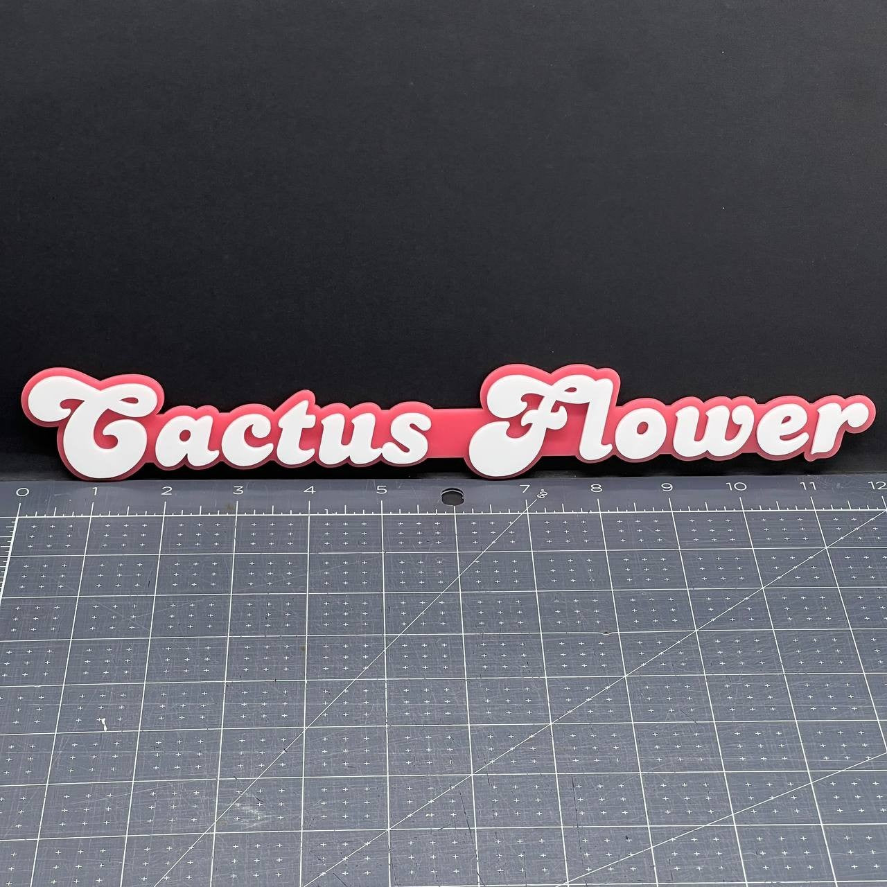 1PC Cactus Flower Badge – Custom 3D Acrylic Multicolor Emblem for Cars